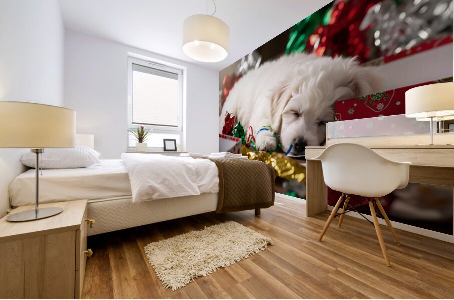 Sleepy Bichon Frise Puppy Naps Among Holiday Wrapping Mural print