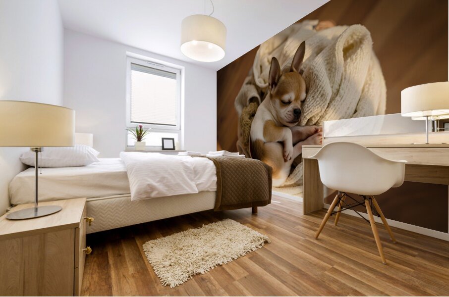 Chihuahua Puppy Naps On Laundry Pile Mural print