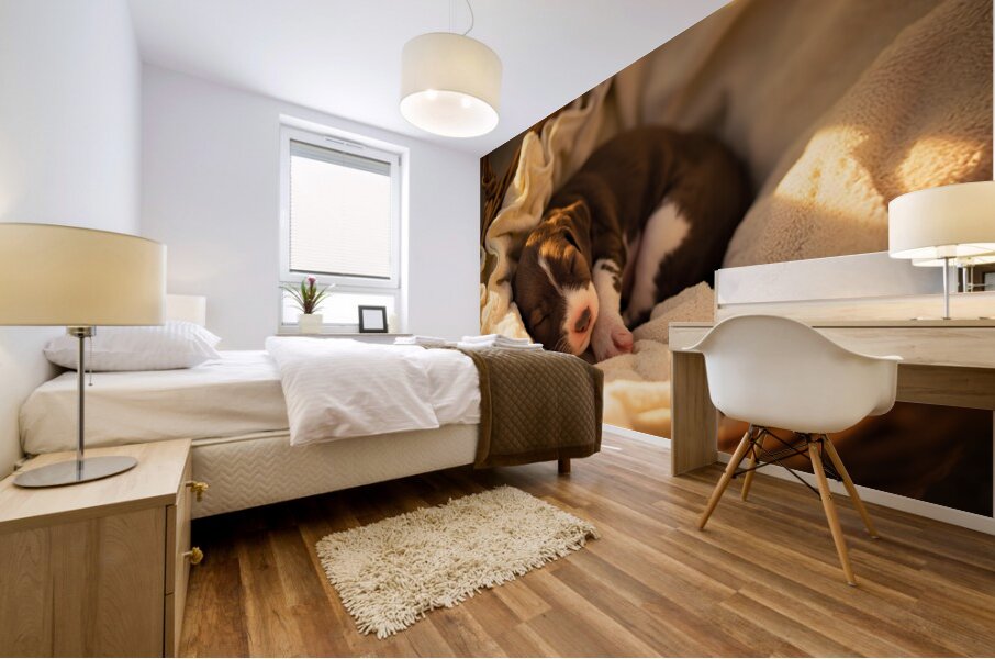 German Shorthaired Pointer Puppy Dreams Peacefully Mural print