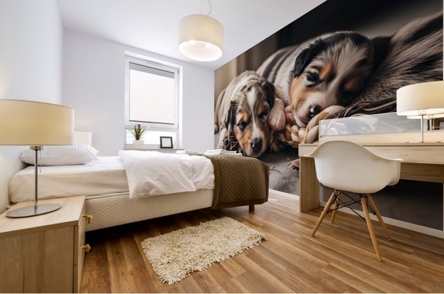 Australian Shepherd Puppy Rests After Playtime Mural print