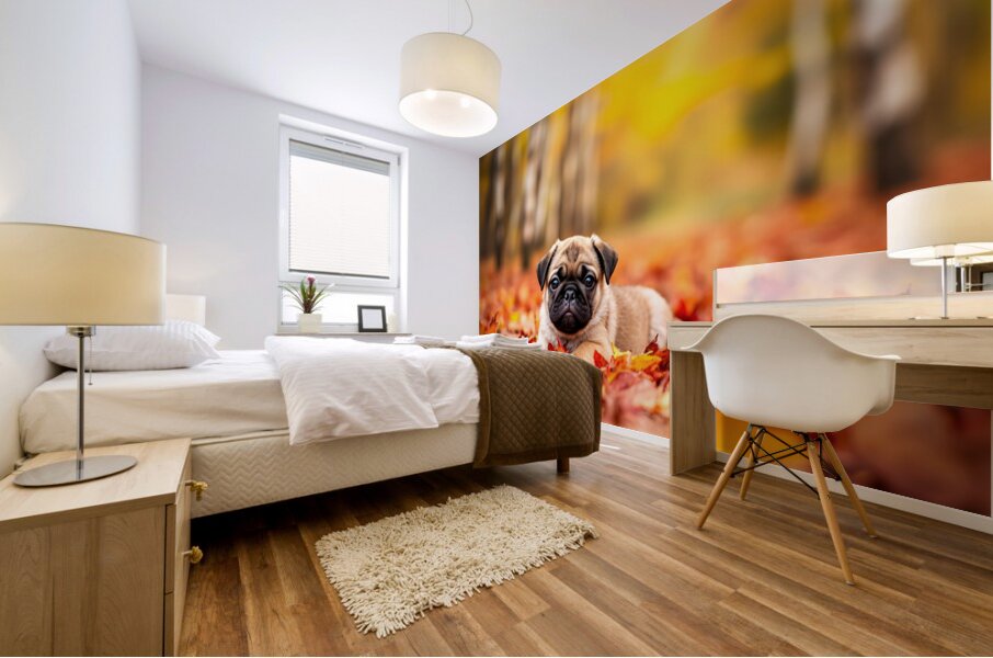 Pug Puppy Crowned With Autumn Leaf Victory Mural print