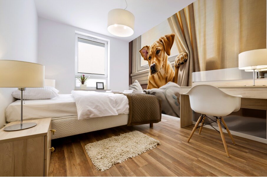 Curious Labrador Puppy Peeking Behind White Curtains Mural print