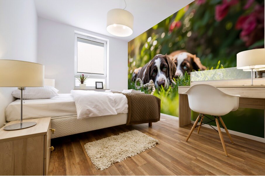 German Shorthaired Pointer Puppies Share Chew Toy Together Mural print