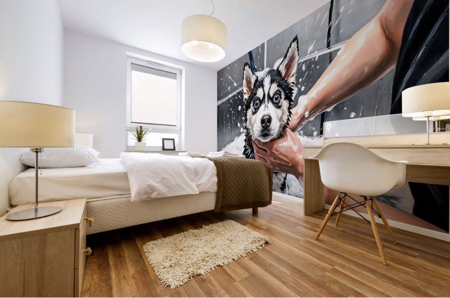 Proud Siberian Husky Puppy After First Professional Grooming Mural print