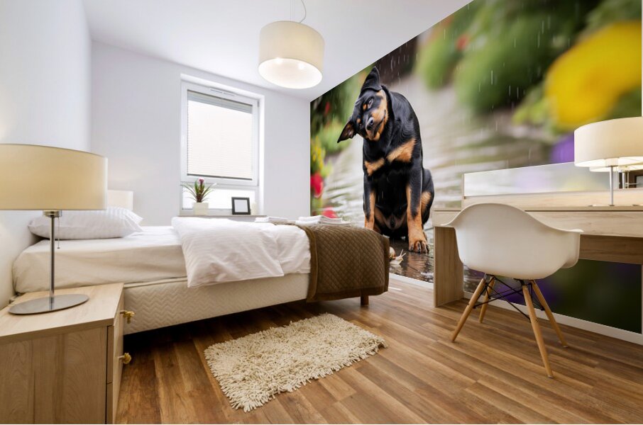 Happy Puppy Walks Away From Peaceful Garden Encounter Mural print