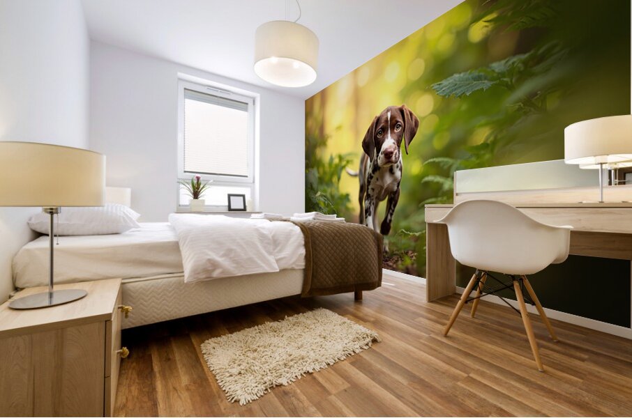 German Shorthaired Pointer Puppy Explores Forest Trail Mural print