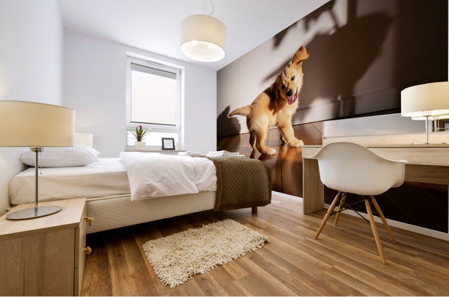Sleepy Golden Retriever Puppy Rests After Shadow Chase Mural print