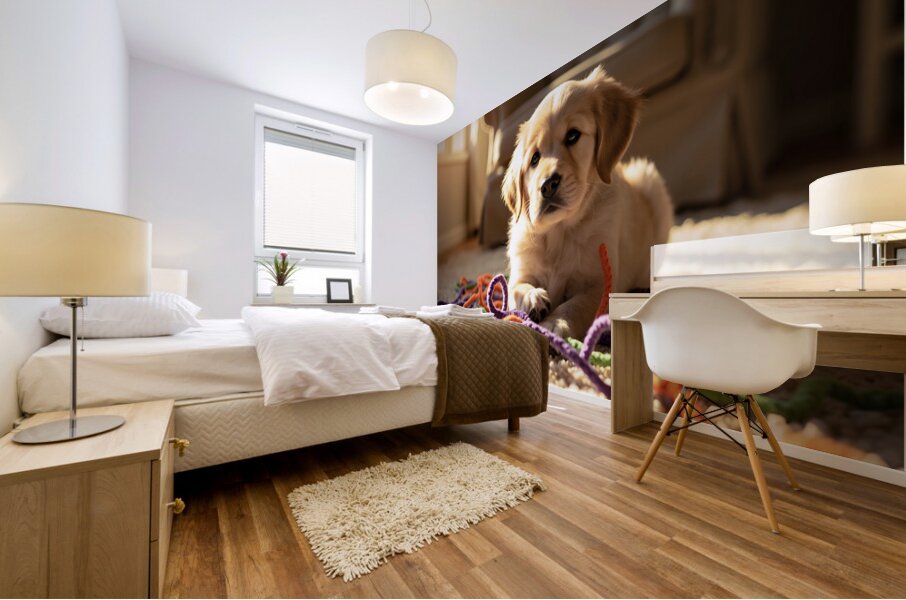 Golden Retriever Puppy Discovers Colorful Yarn Ball Mural print