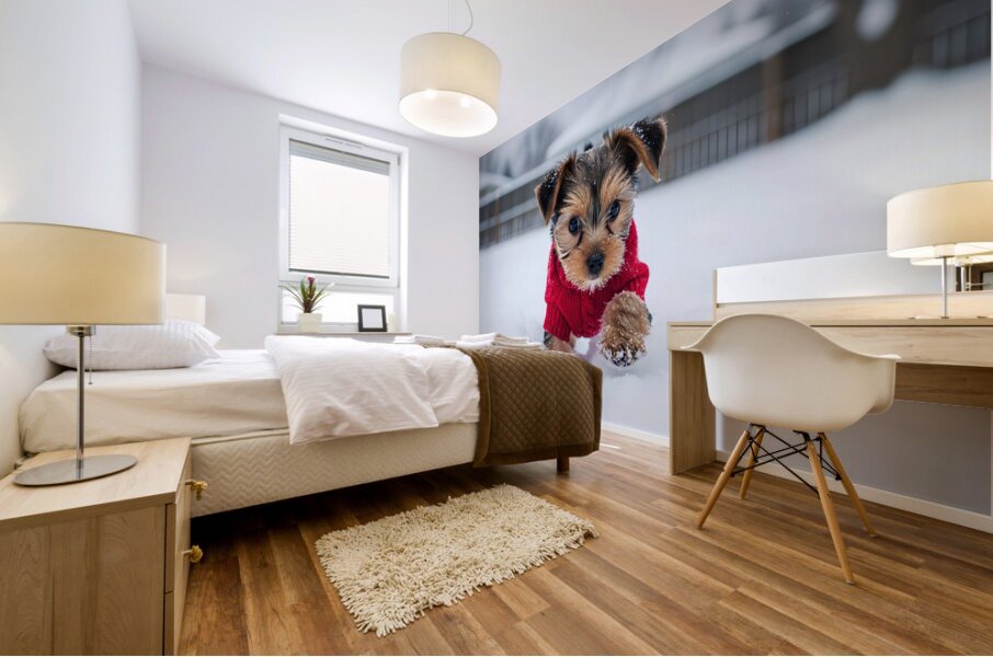 Yorkshire Terrier Puppy Watches Winter Snow Fall Mural print