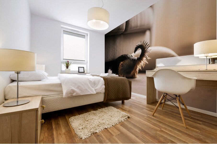 Brown Yorkshire Terrier Puppy Hiding Under Couch After Mess Mural print