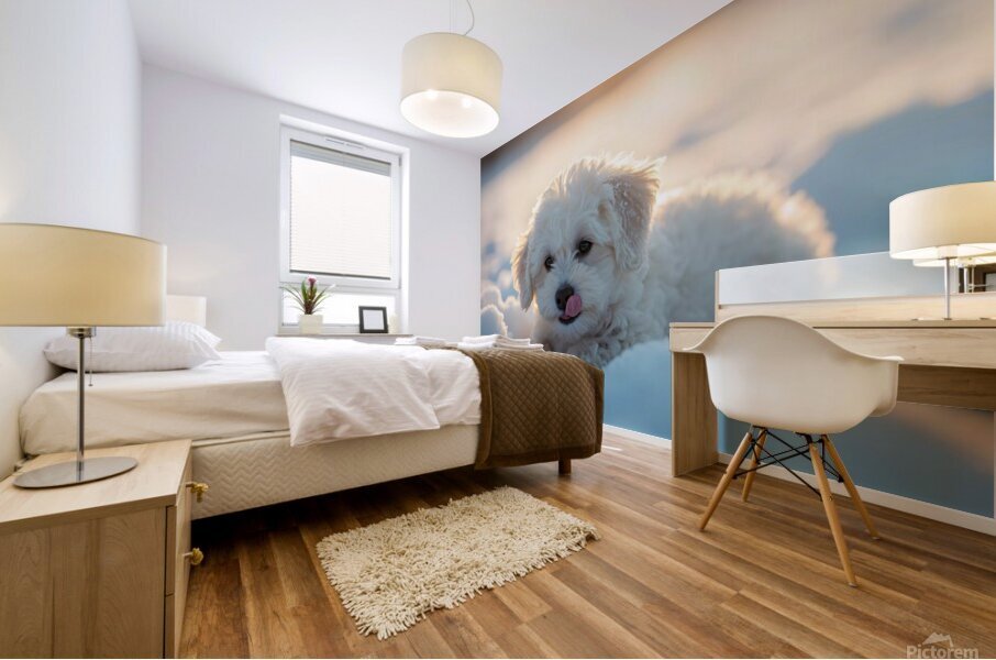 Content White Bichon Frise Puppy Resting After Snow Play Session Mural print