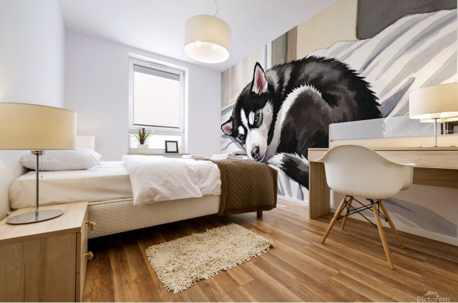 Sleepy Siberian Husky Puppy Napping In Sunbeam Mural print