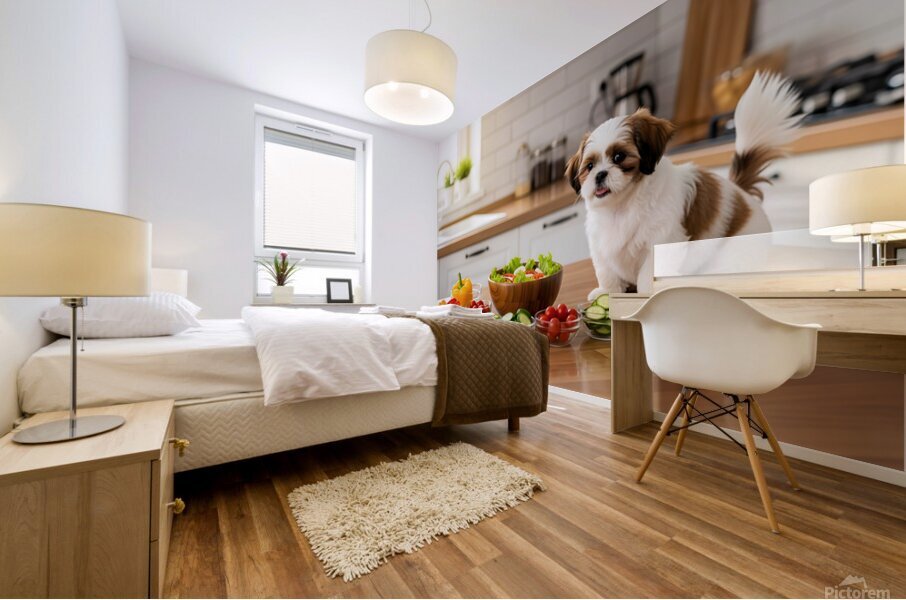 Happy Shih Tzu Puppy In Tidy Kitchen After Cooking Mural print