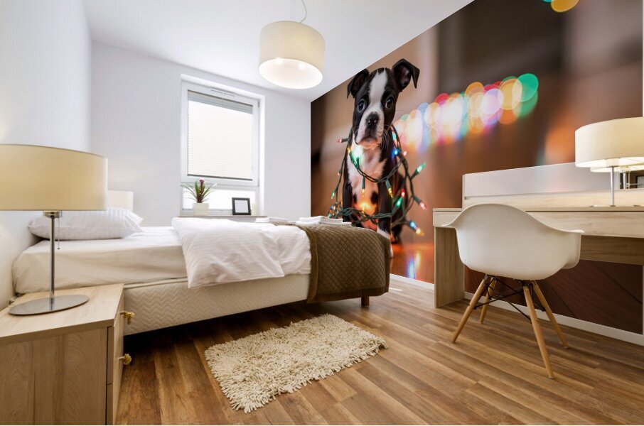 Boston Terrier Puppy Discovers Sparkling Christmas Lights Mural print