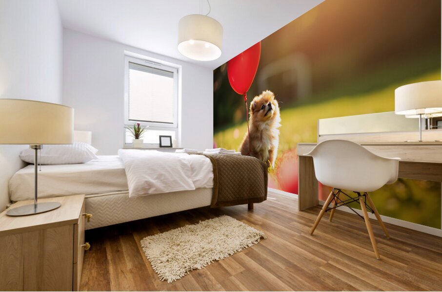Pomeranian Puppy Discovers Floating Red Balloon Mural print