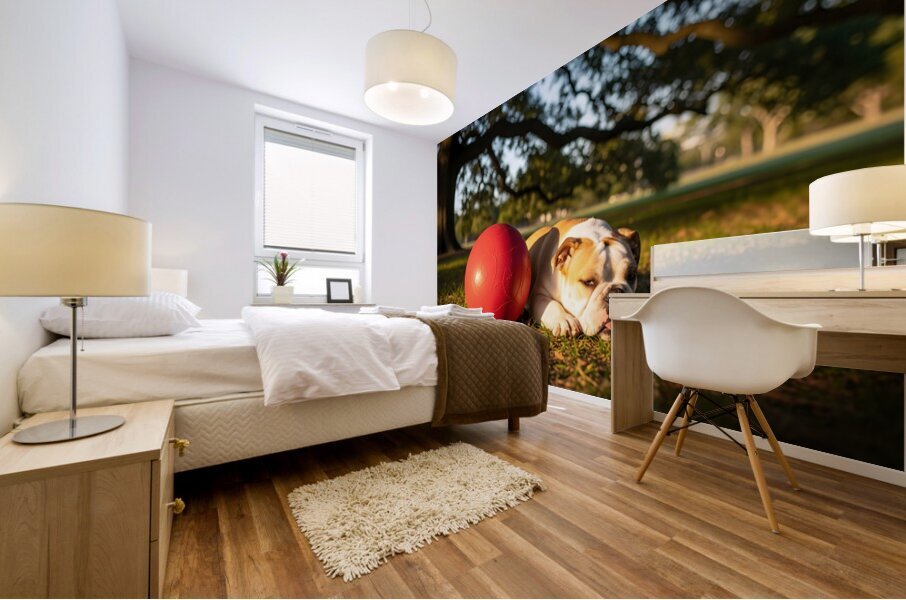 Exhausted BulldogPuppy Rests By Giant Ball Mural print
