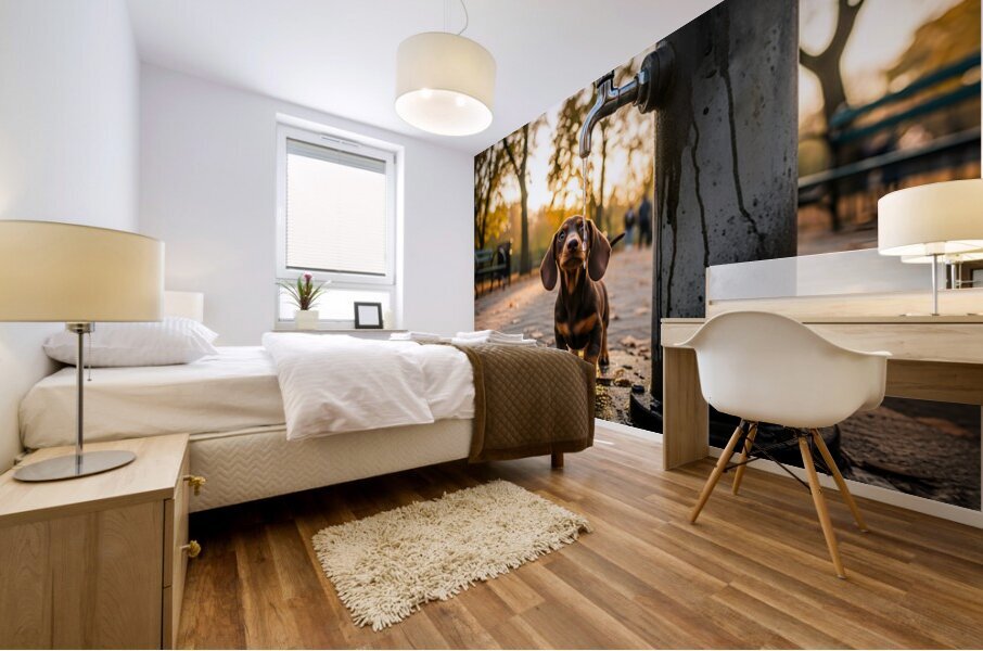 Dachshund Puppy Discovers Water Fountain Mural print