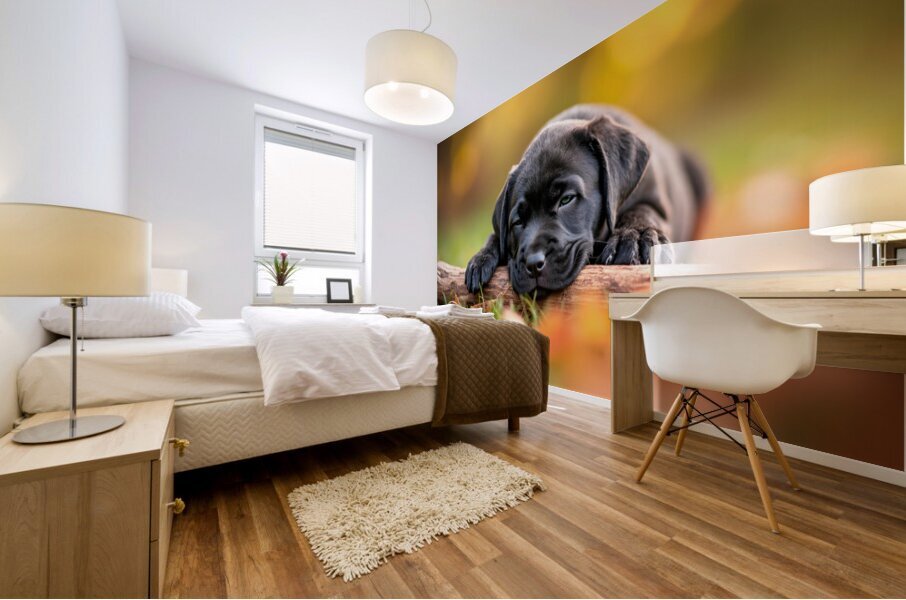 Content Cane Corso Puppy Rests On Stick Pillow Mural print