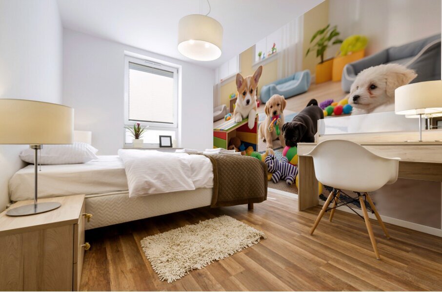 Corgi Puppy Discovers The Special Toy Box Mural print