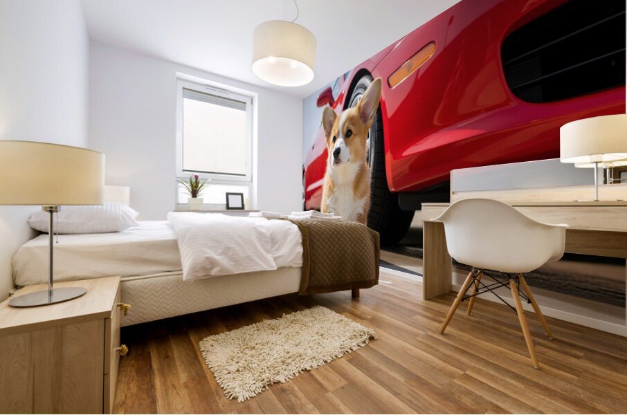 Clean Corgi Puppy After Successful Car Wash Mural print