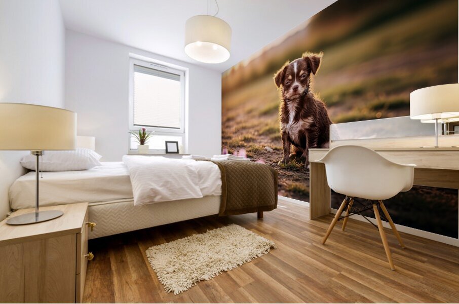 Muddy Chihuahua Puppy After Playtime Mural print