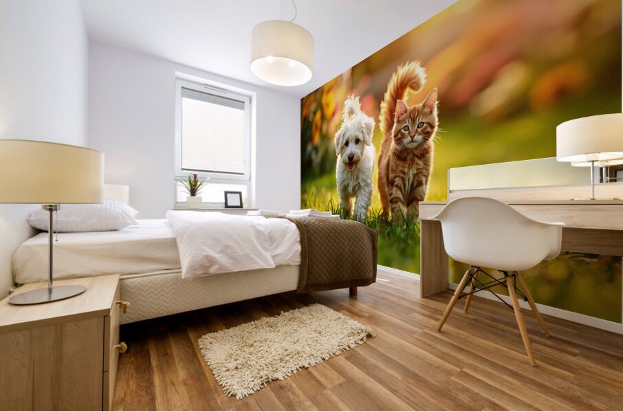 Bichon Frise Puppy And Cat Walk Together As Friends Mural print