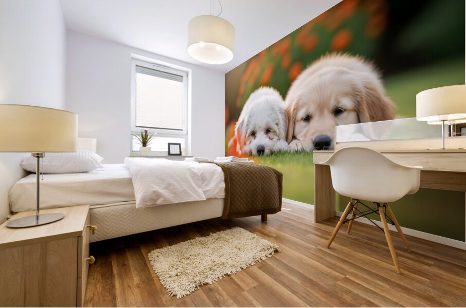 Tired Bichon Frise Puppies Resting After Playing In The Garden Mural print