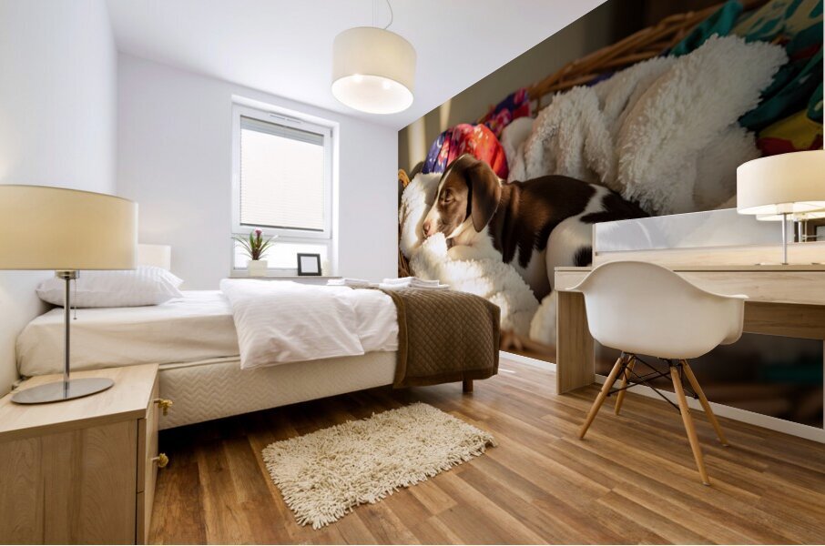 German Shorthaired Pointer Puppy Discovers Cozy Basket Mural print