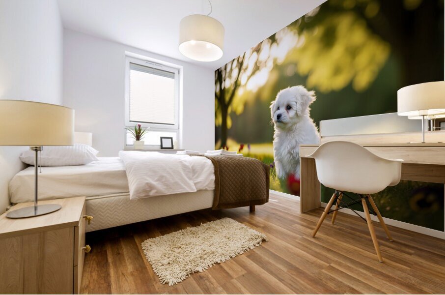 Bichon Frise Puppy Exploring The Garden Alone Mural print