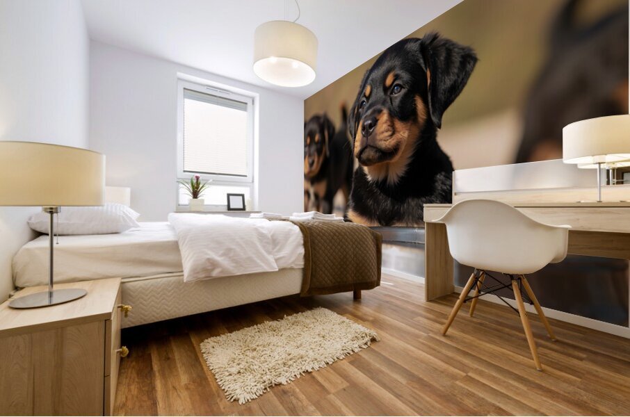 Rottweiler Puppy Feels Refreshed And Happy Mural print