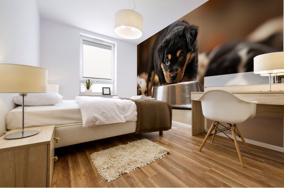 Rottweiler Puppy Spots The Water Bowl Mural print