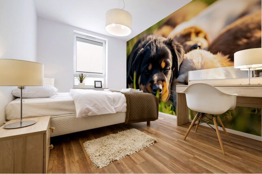 Sleepy Puppies Rest After Playing Hard Mural print