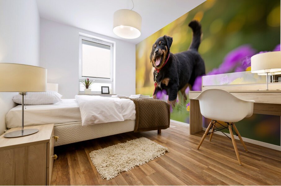 Free Rottweiler Puppy Wags Tail With Joy Mural print