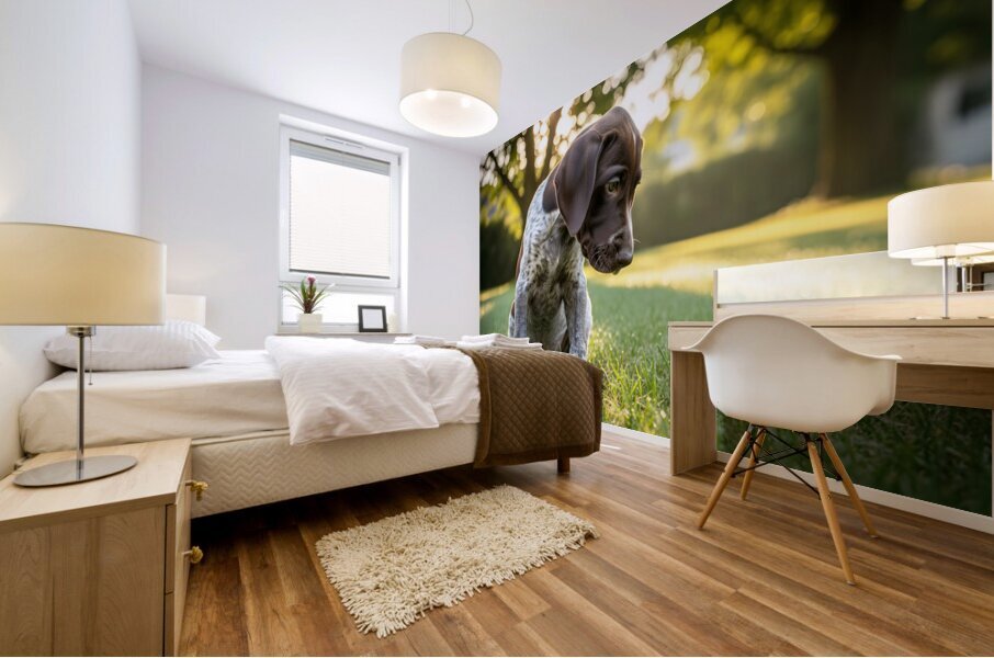 German Shorthaired Pointer Puppy Discovers His Paws Mural print