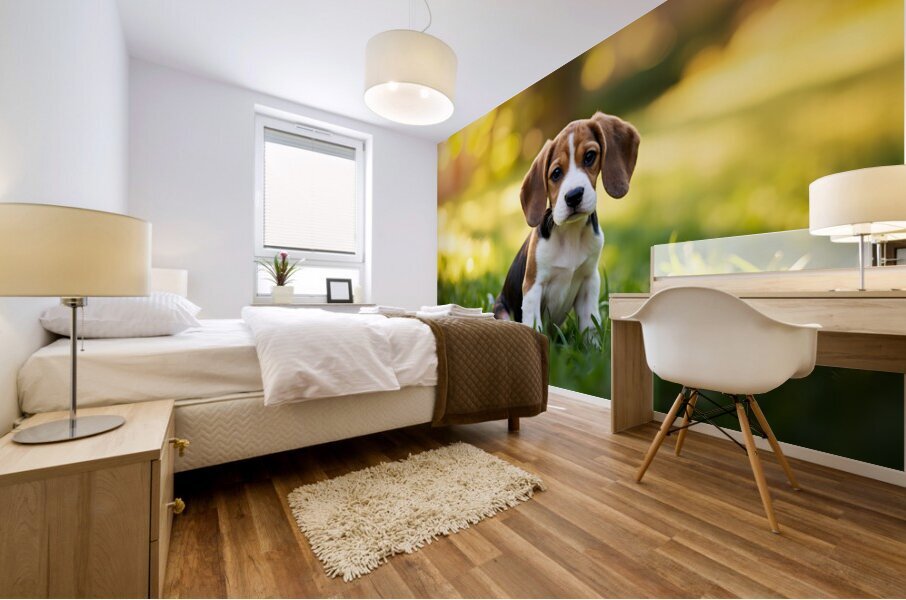 Beagle Puppy Senses Something Strange Behind Him Mural print