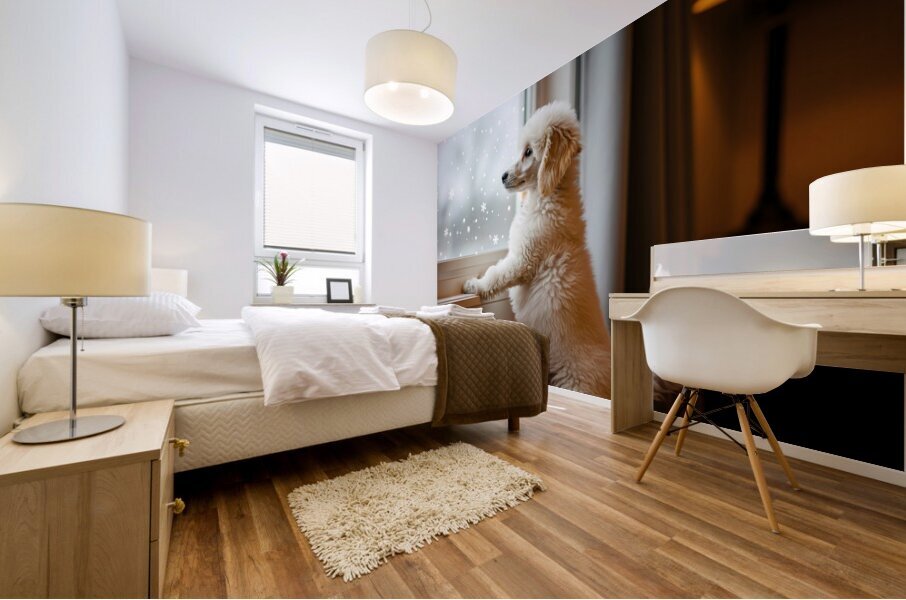 Poodle Puppy Discovers First Snowfall Through Window Mural print