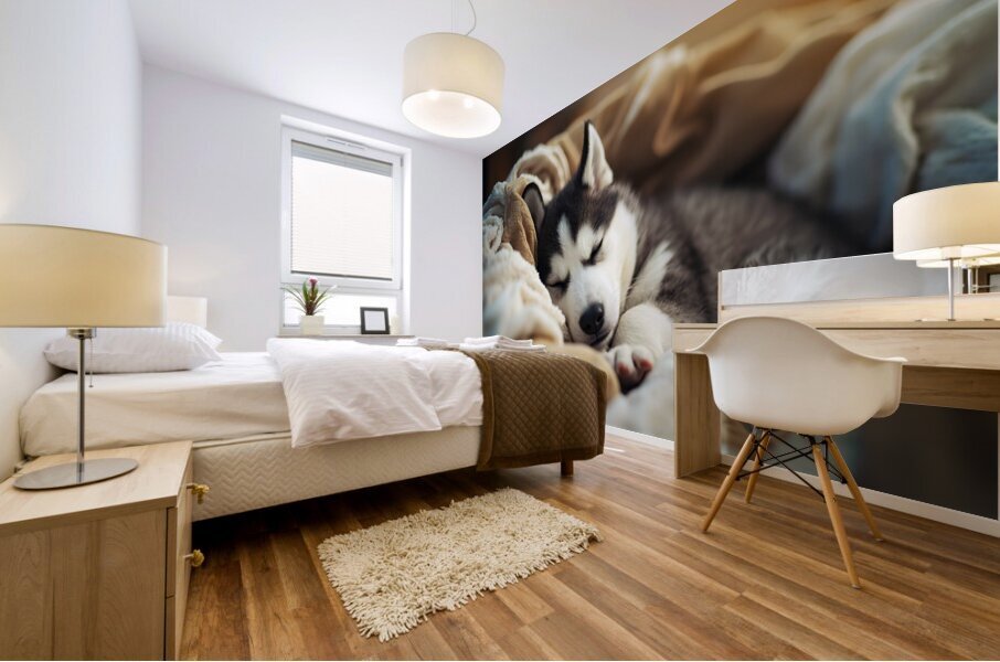 Sleepy Husky Puppy Naps In Laundry Nest Mural print