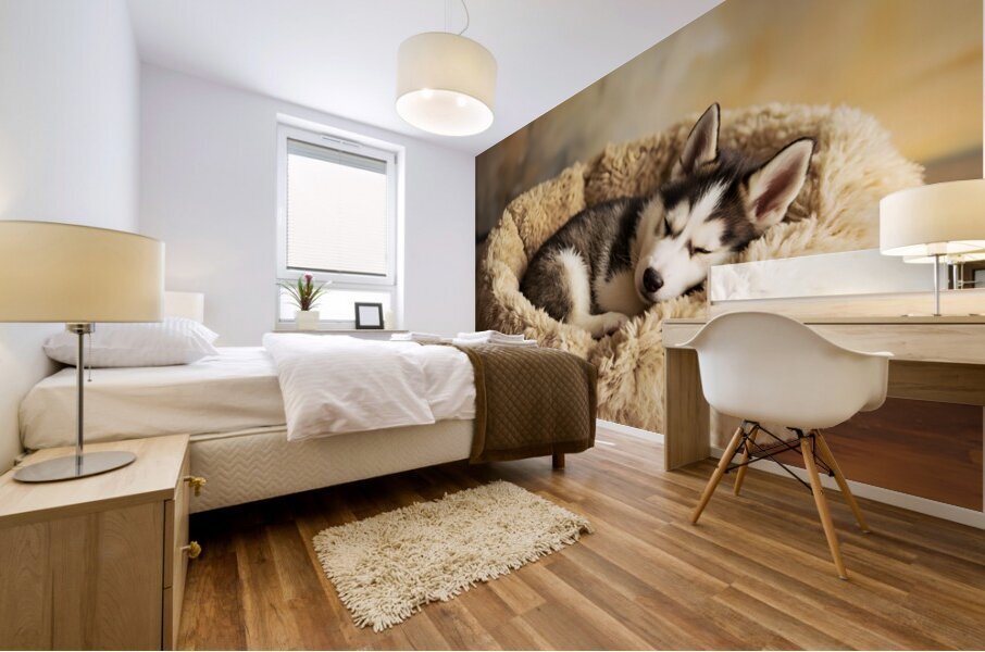 Sleepy Husky Puppy Napping In Corner Of Giant Bed Mural print