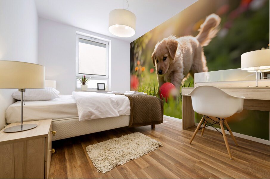 Golden Retriever Puppy Discovers A Giant Red Ball Mural print