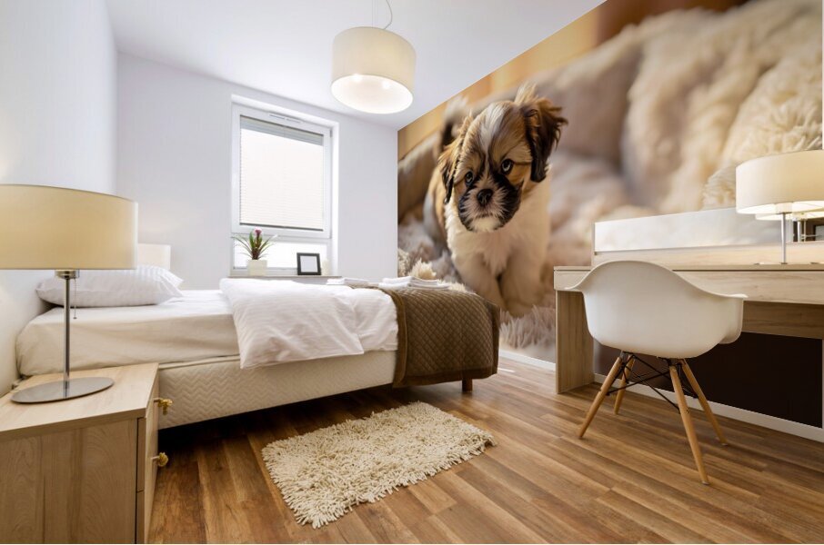 Peaceful Shih Tzu Puppy Sleeping Soundly Mural print