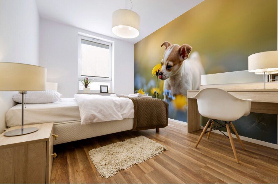 Happy Chihuahua Puppy After Sniffing Dandelion Mural print