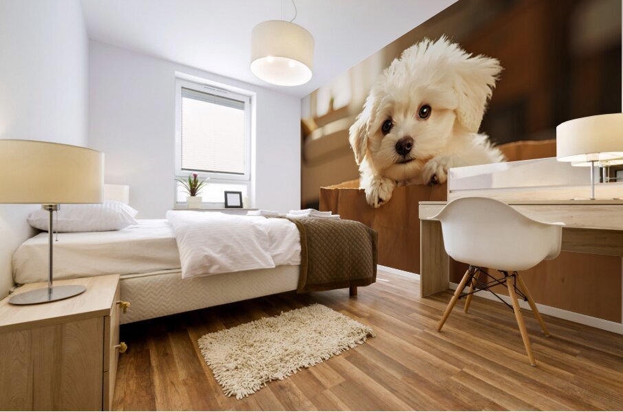 Bichon Frise Puppy Hiding In Paper Bag Mural print