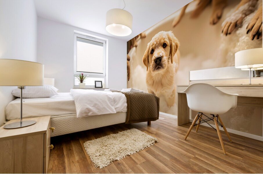 Peaceful Labrador Puppy Enjoying Calm Bath Time Mural print