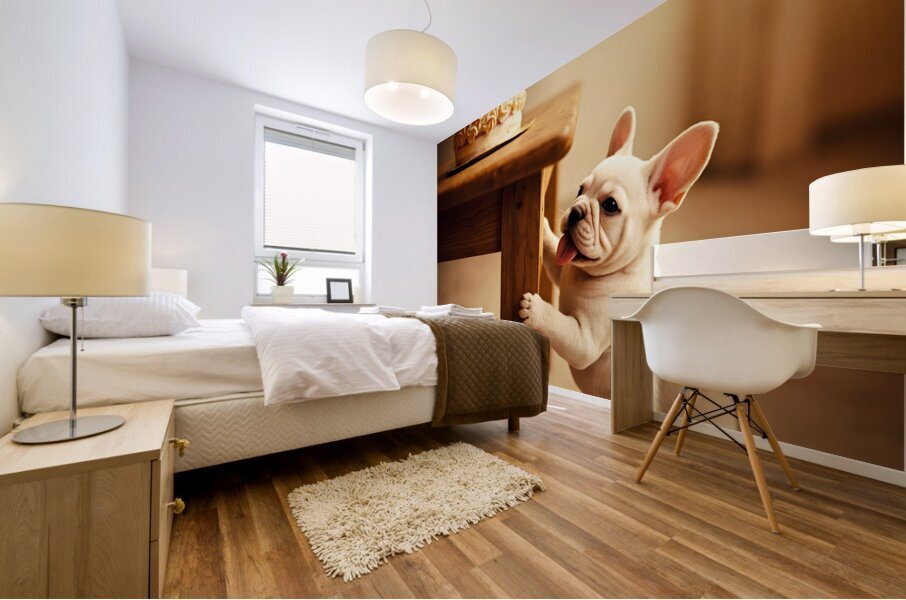 French Bulldog Puppy Discovers Birthday Cake Mural print