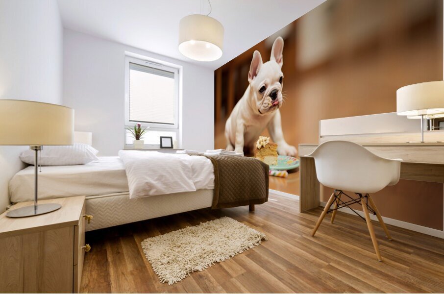 Satisfied French Bulldog Puppy Rests After Birthday Celebration Mural print
