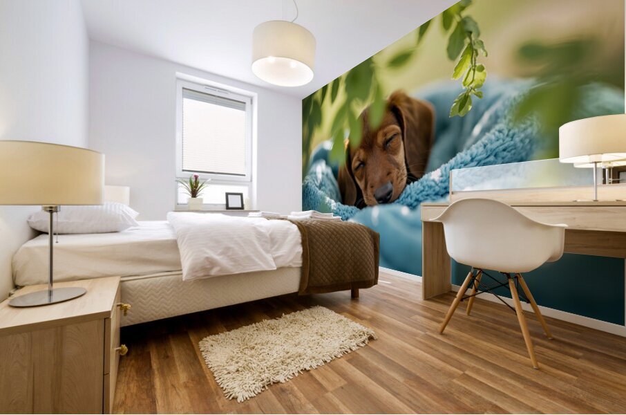 Peaceful Dachshund Puppy Sleeps In Basket Bed Mural print