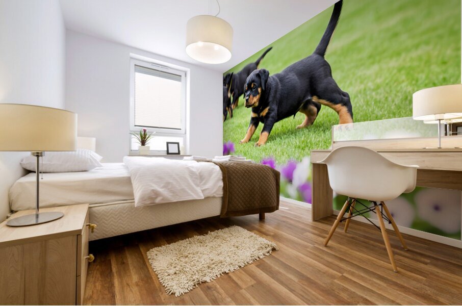 Rottweiler Puppy Starts The Chase In Sunny Yard Mural print