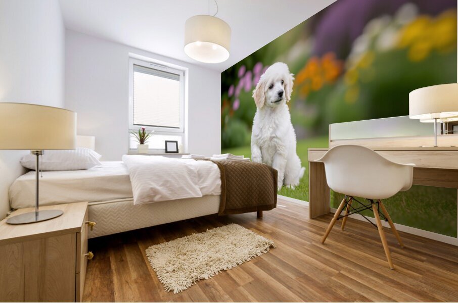 Poodle Puppy Ready To Learn Stay Command Mural print