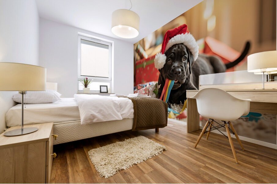 Cane Corso Puppys First Christmas Morning Discovery Mural print