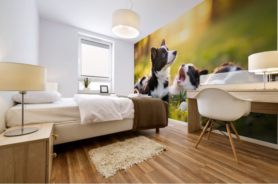 Sleepy Border Collie Puppy Finally Rests With Pack Mural print